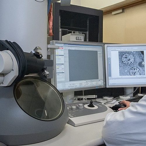 transmission-electron-microscope-2223456_1280
