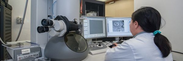 transmission-electron-microscope-2223456_1280
